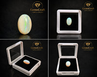 OPAL 7 CT (AUSTRALIAN)