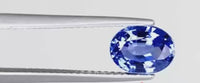 Blue Sapphire - 5 Carats